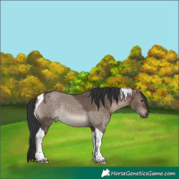 Horse Color:Brown Dun Mushroom Tobiano and Brown Dun Mushroom Tobiano
