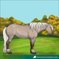 Horse Color:Liver Red Dun Mushroom Tobiano Rabicano 