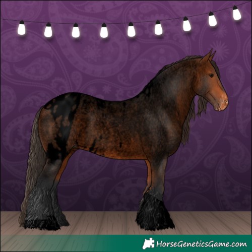 Horse Color:Void Bay Roan Tobiano Skewed LP Spotted 