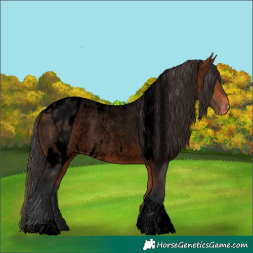 Horse Color:Void Bay Roan Tobiano Skewed Appaloosa 