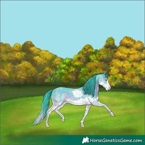 Horse Color:Watercolor Brown Roan Splash 