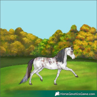 Horse Color:Nacre White Spotted Liver Red Dun