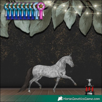 Horse Color:Liver Red Ice Roan 