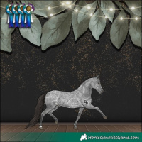 Horse Color:Liver Red Ice Roan 