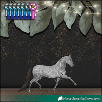 Horse Color:Liver Red Ice Roan
