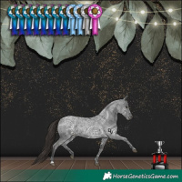 Horse Color:Liver Red Ice Roan