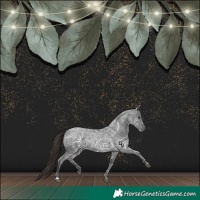 Horse Color:Liver Red Ice Roan 