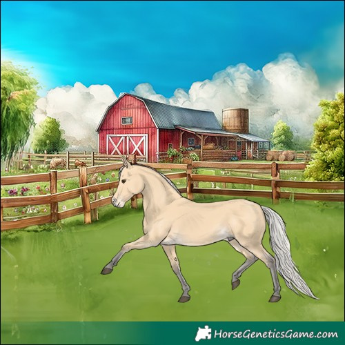 Horse Color:Silver Buckskin 