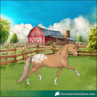 Horse Color:Chestnut Blanket