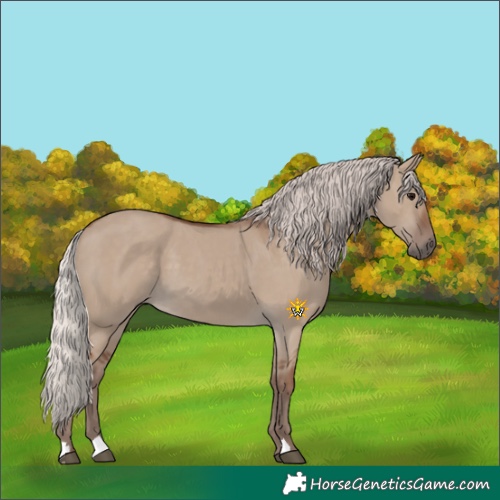 Horse Color:Silver Grullo 
