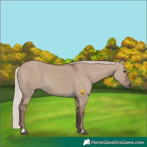 Horse Color:Silver Grullo