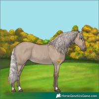 Horse Color:Silver Grullo