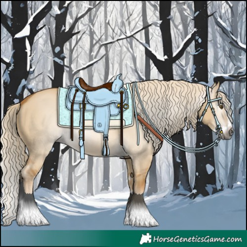 Horse Color:Unknown 