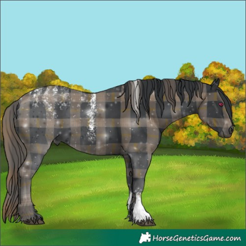 Horse Color:Powder White Plaid  Black 