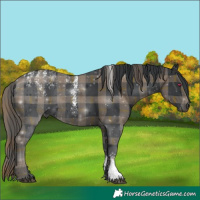Horse Color:Powder White Plaid Black