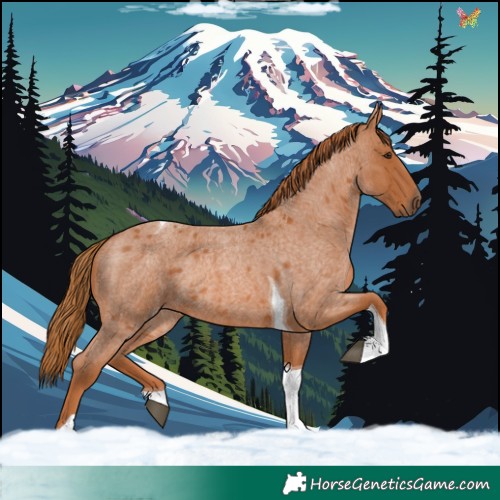 Horse Color:Red Roan Tobiano 