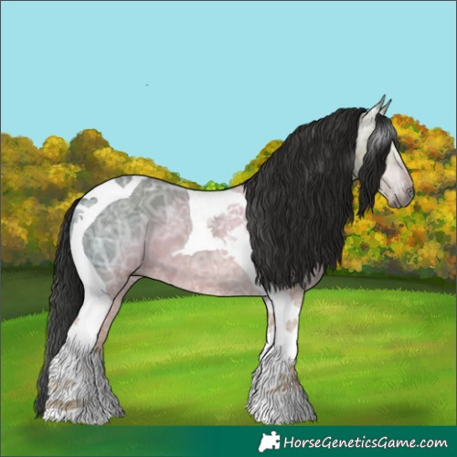 Horse Color:Gray Grullo Ice Tobiano
