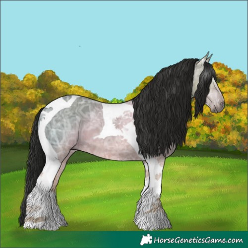 Horse Color:Gray Grullo Ice Tobiano 