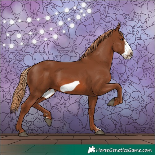 Horse Color:Chestnut Frame 
