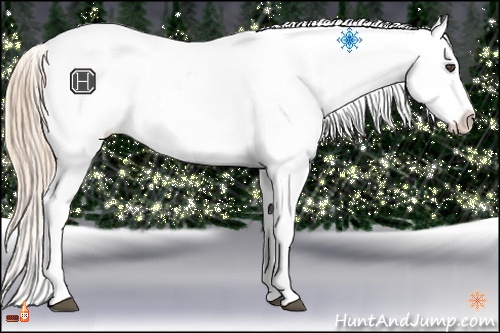 Horse Color:Chestnut Snowflake Varnish