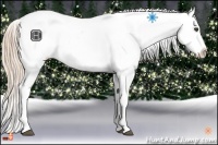 Horse Color:Chestnut Snowflake Varnish