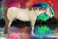 Horse Color:Grullo Pearl Frame Rabicano 