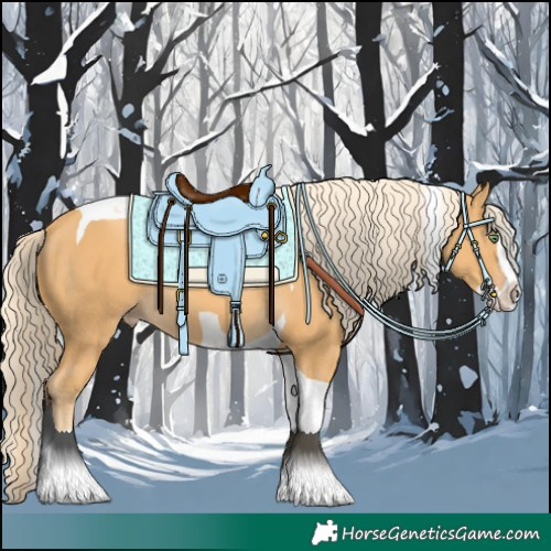 Horse Color:Gold Cream Champagne Splash Tobiano 