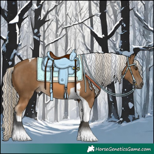 Horse Color:Painted Chocolate Palomino Tobiano 