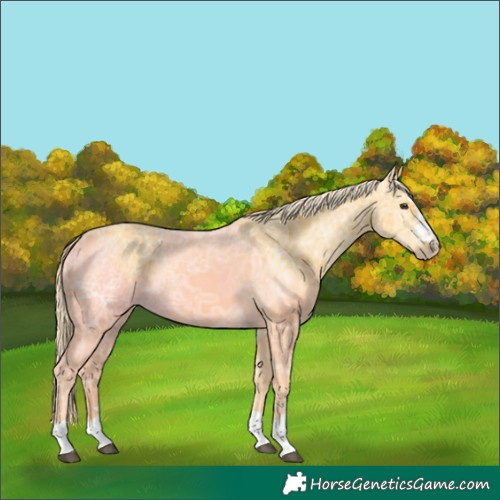 Horse Color:Palomino Ice 