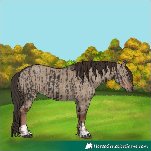 Horse Color:Liver Chestnut  and Liver Red Dun 