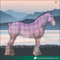 Horse Color:Watercolor Plaid Silver Amber Champagne Dun Tobiano