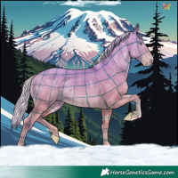 Horse Color:Watercolor Plaid  Silver Amber Champagne Dun Tobiano 