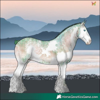 Horse Color:Powder White Watercolor Plaid  Liver Red Onyx Ice Splash 