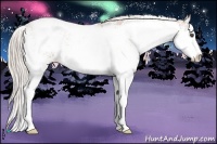 Horse Color:Silver Bay Sabino