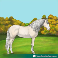 Horse Color:Silver Smoky Black Pearl 