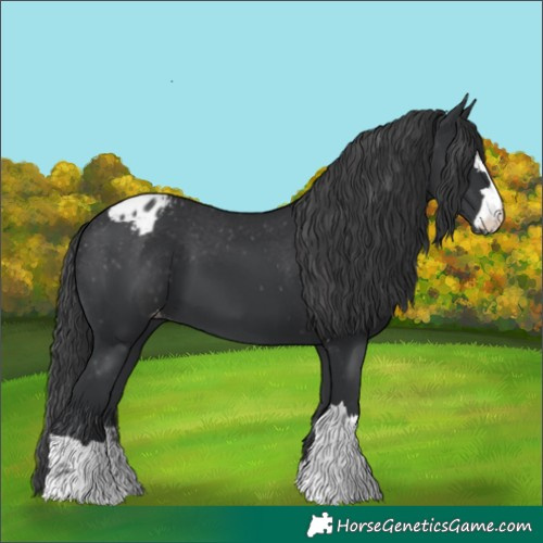 Horse Color:Unknown 