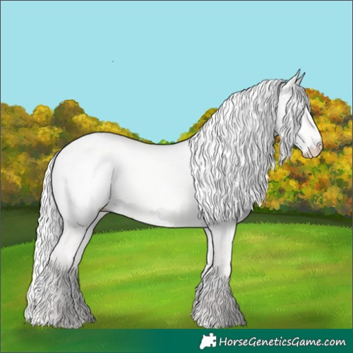 Horse Color:Silver Perlino Dun