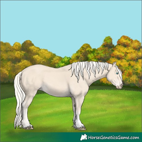 Horse Color:Cremello Tobiano 