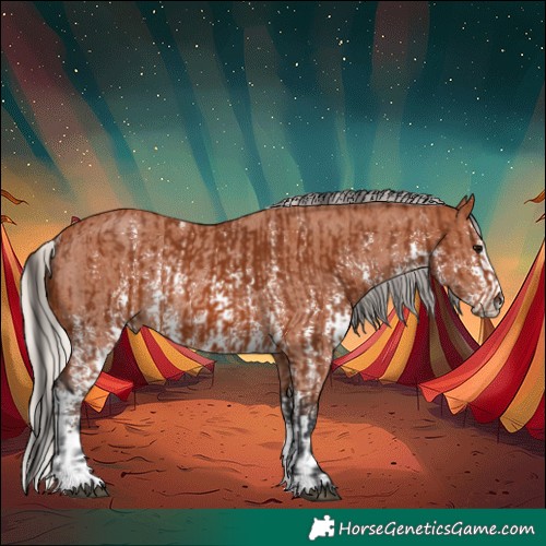 Horse Color:Bay Sabino Rabicano  and Silver Bay Sabino Rabicano 