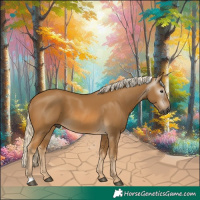 Horse Color:Gray Palomino 