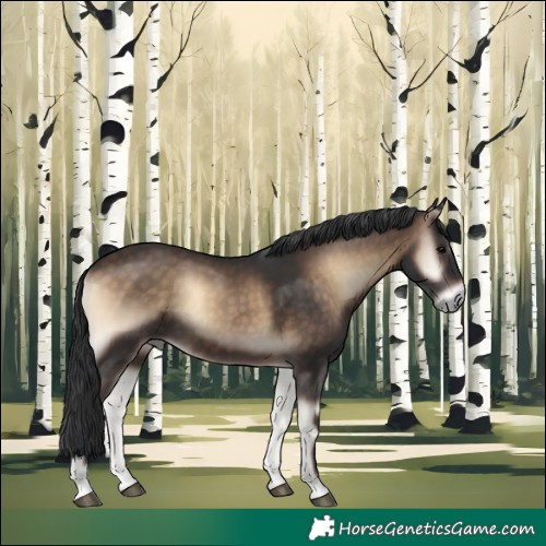 Horse Color:Brown Onyx