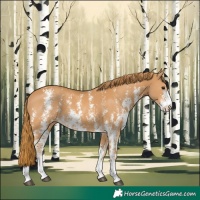 Horse Color:Chestnut Sabino