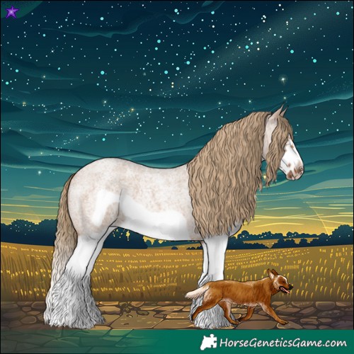 Horse Color:Red Dun Roan Splash Frame Rabicano 