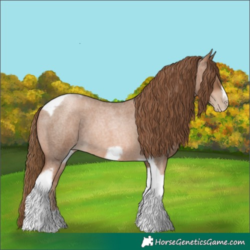 Horse Color:Liver Red Roan Pearl Tobiano Frame 