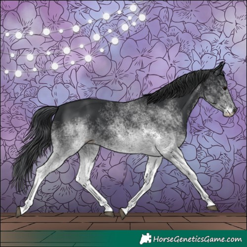 Horse Color:White Spotted Black