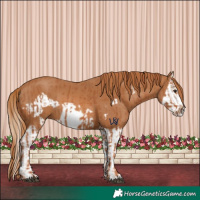 Horse Color:Chestnut Frame  and Chestnut Splash Frame 