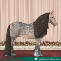 Horse Color:Buckskin Ice