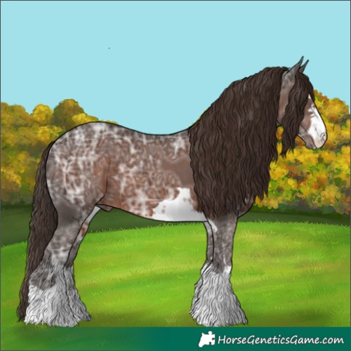 Horse Color:Liver Chestnut Ice 