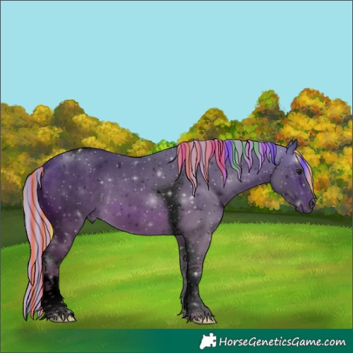 Horse Color:Void Painted Silver Buckskin Tobiano 