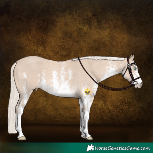 Horse Color:White Spotted Cremello Sabino 